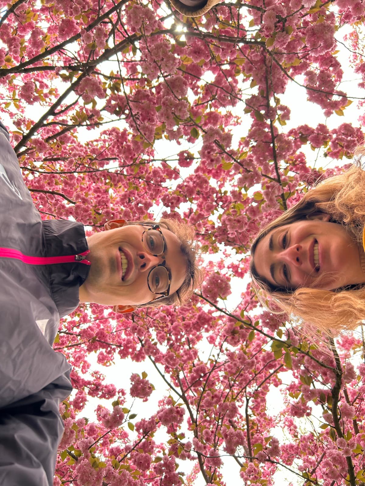 Jen and Luke lying under a canopy of pink cherry blossoms looking up